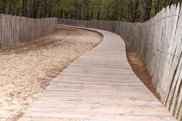 Jalan Kayu Melalui Bukit Pasir Cerah Pantai Cap Ferret Arcachon — Stok Foto