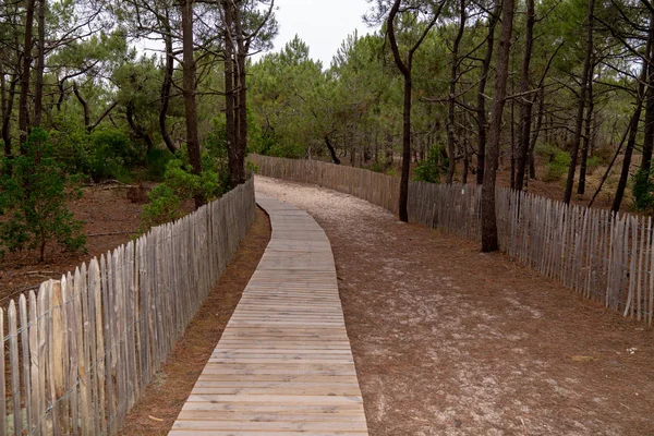 法国阿卡洪湾海滩的木制路径 — 图库照片