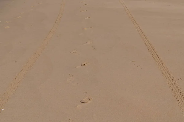 Tire Car Track Sand Desert Beach Whith Foot — Stock Photo, Image