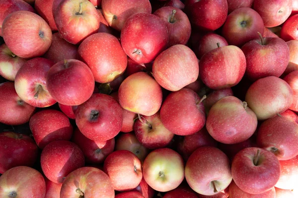 Fresh Ripe Red Apples Background — Stock Photo, Image