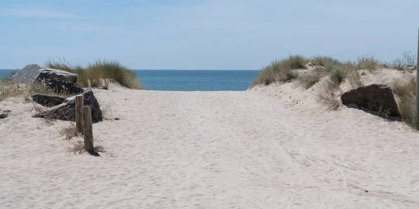 Fuß Sandpfad Zugang Strand Island Noirmoutier Vendee Frankreich Web Banner — Stockfoto