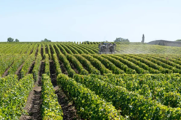 Vineyard Landskap Traktor Sprutning Vinrankor Margaux Medoc Nära Bordeaux Frankrike — Stockfoto