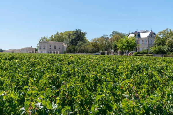 Chateau Vineyard Margaux Medoc Bordeaux Frankrike — Stockfoto