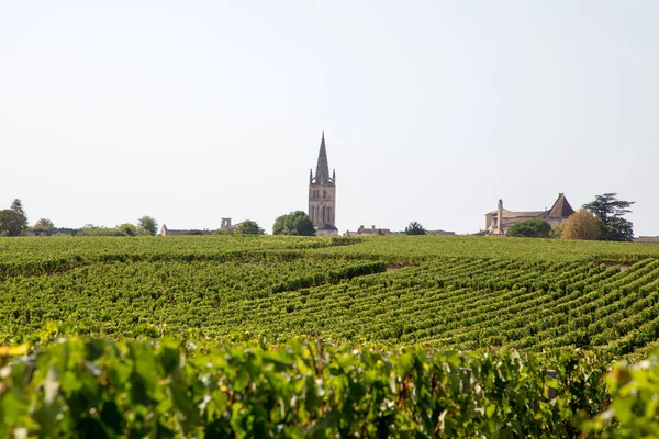 Vista Paisagem Vinhas Saint Emilion Aldeia Bordeaux — Fotografia de Stock