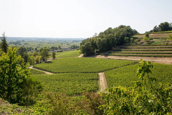 hill SAINT EMILION vineyard landscape of vineyards around the village