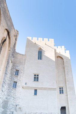 Notre Dame Collegiate Kilisesi Avignon Fransa