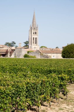 Fransa'da Üzüm şehri Saint Emilion Bordeaux Unesco