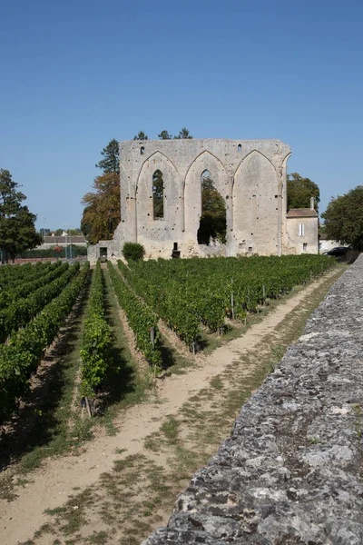 フランスのボルドーのブドウ園とサン エミリオン フランスの古代修道院の遺跡 — ストック写真