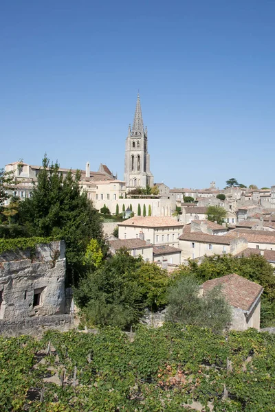 Viñedo Saint Emilion Gironda Aquitania Francia Patrimonio Humanidad Por Unesco —  Fotos de Stock