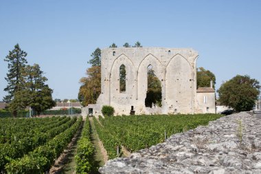 Bordeaux Fransa yakınlarındaki Saint Emilion antik manastır Üzüm üzüm kalıntıları
