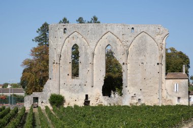 Fransa'da Bordeaux Saint-Emilion köyü Unesco Dünya Mirası Alanı