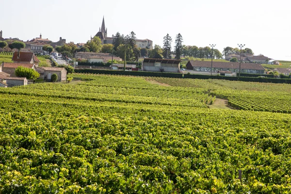 Paisagem Saint Emilion Aldeia Bordeaux Região Vinha Uva — Fotografia de Stock