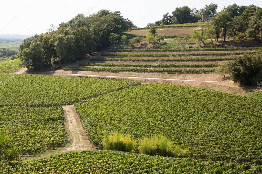 France vineyard Bordeaux beautiful landscape of Saint Emilion Vineyards in Aquitaine region of France