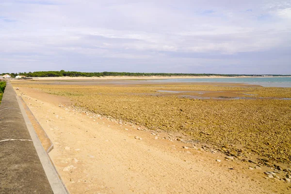 Atlantkusten Sandstrand Lågvatten Vid Saint Vincent Sur Jard Vendee France — Stockfoto