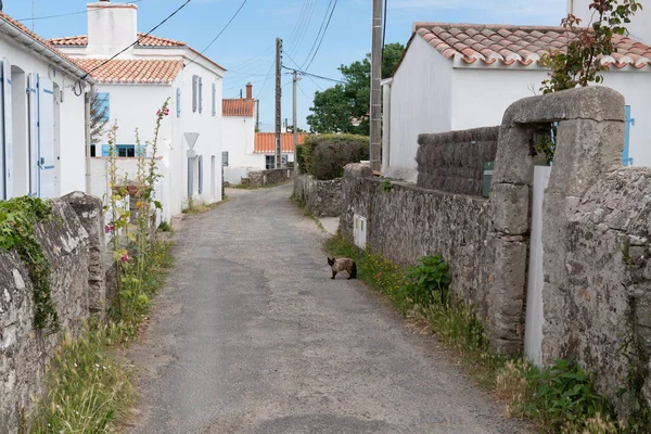 Bloeiende Straat Het Eiland Noirmoutier — Stockfoto