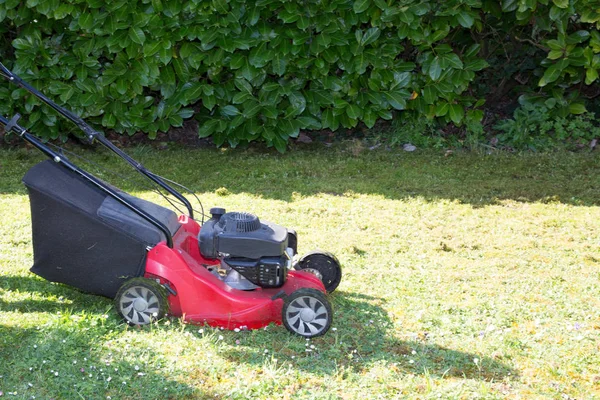 Fűnyíró Zöld Gyepen Házi Kert — Stock Fotó