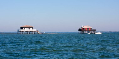 Cabane Tchanque güzel ahşap ev Arcachon France 'ın Atlantik Bassin' inde sazlıklara tünemiş web pankart başlığında