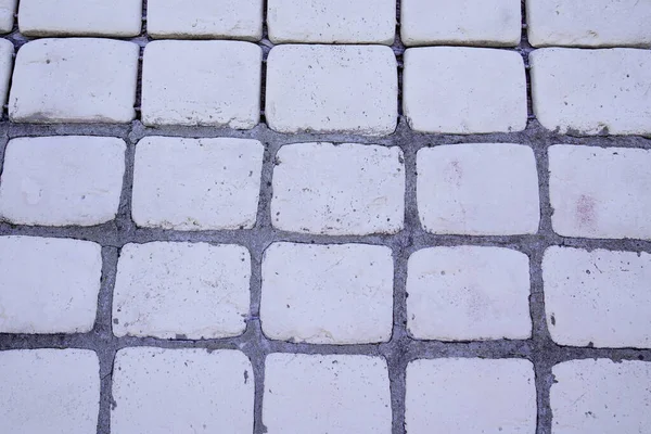 Cobbles Background Stone Floor Texture — Stock Photo, Image