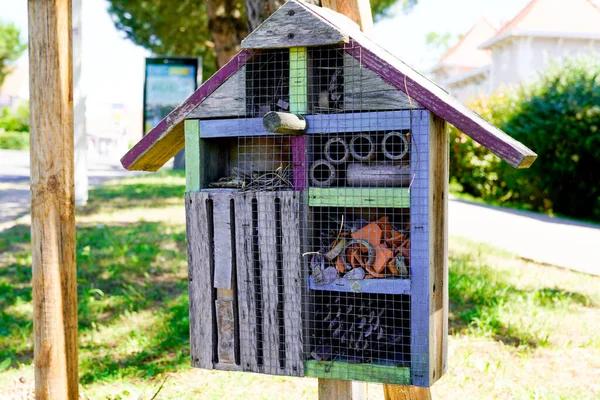 Casa Fatta Casa Insetto Casa Legno Bug Hotel Coccinella Ape — Foto Stock