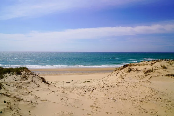 Sanddyner Tillgång Till Havsstrand Lacanau Hav Frankrike — Stockfoto