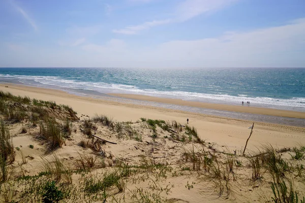 Летний День Песчаном Пляже Лаканау Франция — стоковое фото