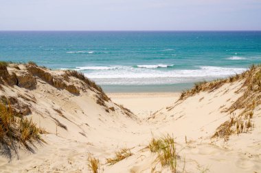 sandy dunes to access natural empty beach in Le porge village near Lacanau France clipart