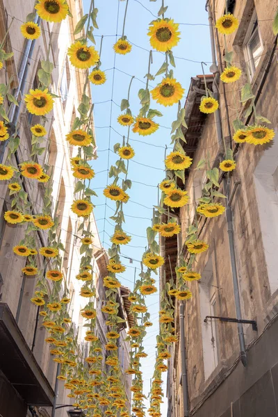 Sunflower Yellow Flower Hanging Street — Stock Photo, Image