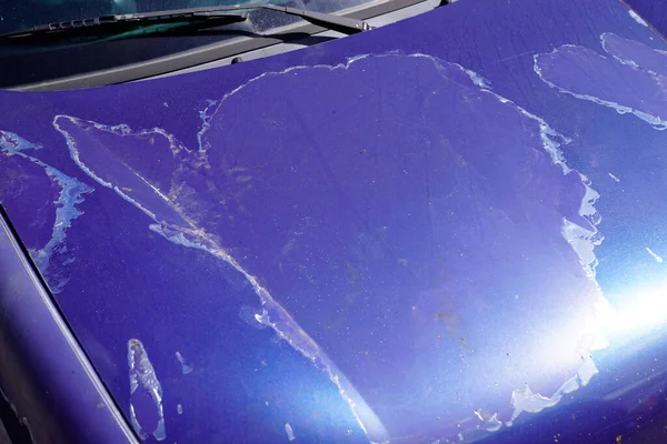 Car Engine Hood Blue Used Paint Faded Grunge Front Bonnet — Stock Photo, Image