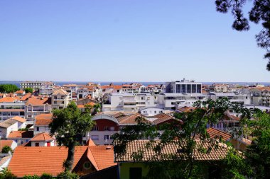 Güneybatı Fransa 'daki Arcachon şehri kış kasabasının parkının en üst katında.
