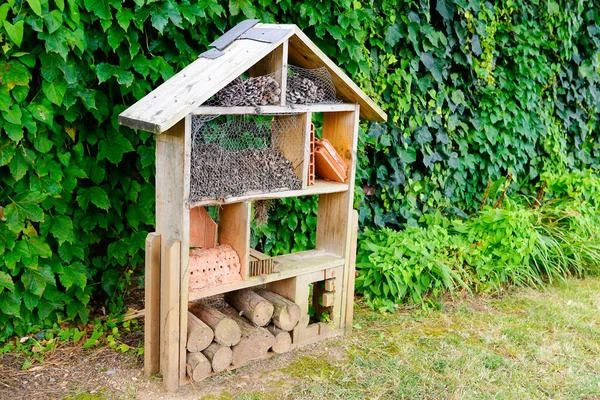 Dřevěný Hmyz Dům Dekorativní Chyba Dřevěný Hotel Ladybird Včela Domů — Stock fotografie
