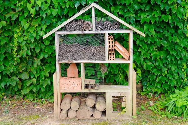 昆虫旅馆昆虫屋瓢虫蜂巢生态园艺概念中的蜂巢 — 图库照片