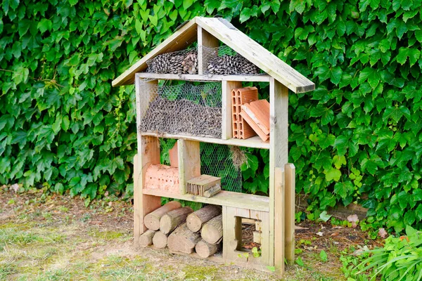 Hmyzí Dům Domácí Zahradě Poskytuje Ochranu Hnízdo Pomoc Včelám Hmyzu — Stock fotografie