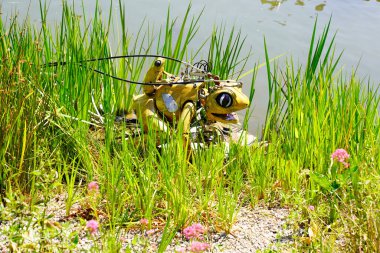 La Roche-sur-Yon, Vendee / France - 09 01 01 2020: Fransa 'nın La Roche sur Yon kentindeki mekanik hayvanat bahçesinin animasyon robot kurbağası