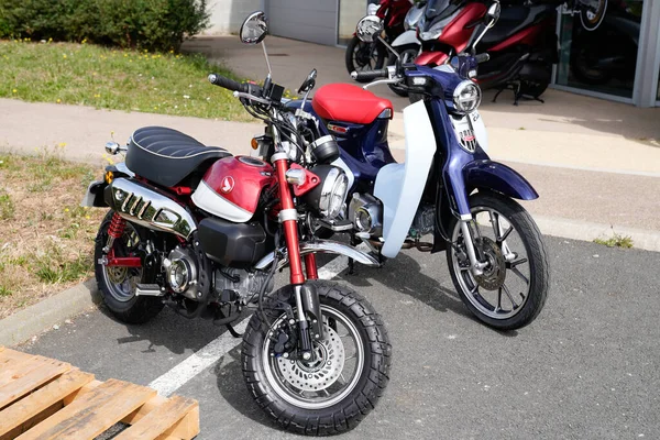 Bordeaux Aquitaine Frankrike 2020 Honda Super Cub C125 Och Nya — Stockfoto