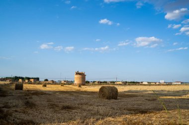 Mavi gökyüzünün altında saman balyalar ve bir güvercin