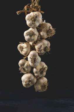 Sarımsak soğanları koyu bir arka planda izole edilmiş. Yakın çekim görünümü.
