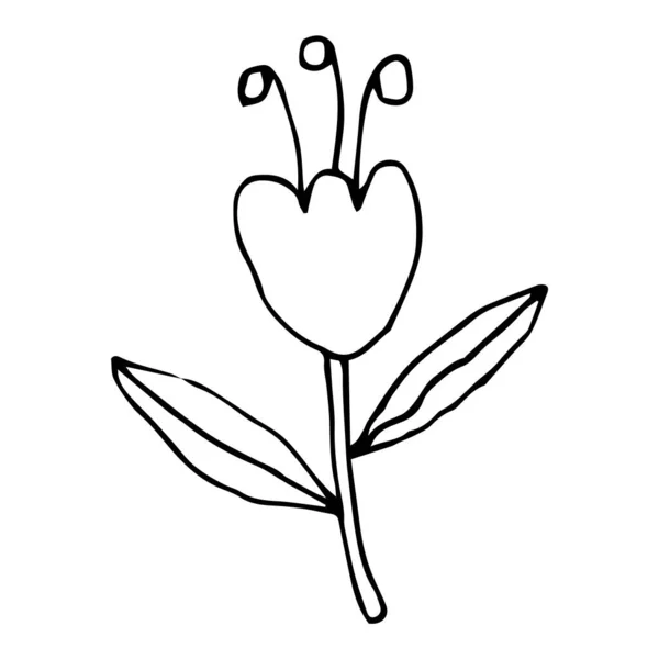 Tulipan Dibujo De Una Lineaストックベクター ロイヤリティフリーtulipan Dibujo De Una Lineaイラスト ページ 2 Depositphotos