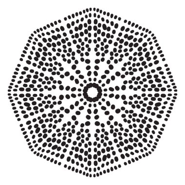 Süslü, noktalı yıldız patlaması beyaz arka planda izole edilmiş. Siyah yarım ton mandala. Geometrik daire elementi. Vektör illüstrasyonu. 