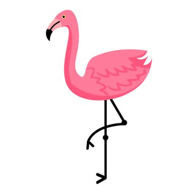 Pembe flamingo beyaz arka planda izole edilmiş. Vektör illüstrasyonu.