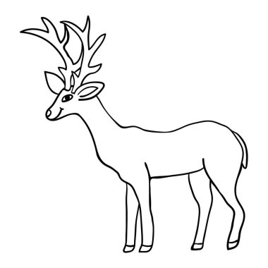 Çizgi film karalama doğrusal geyiği beyaz arka planda izole edilmiş. Vektör illüstrasyonu.