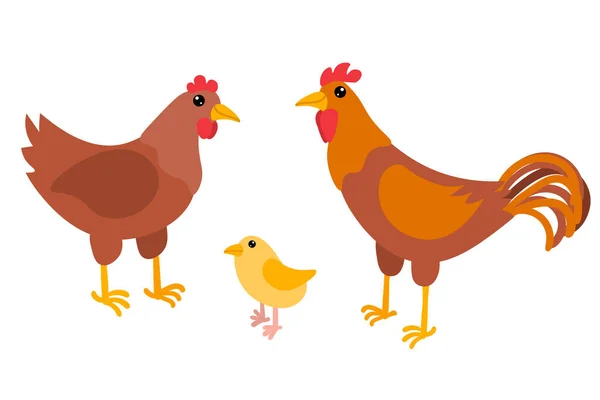 Kreskówkowy Kurczak Kurczak Kogut Rodzina Ptaków Płaskim Stylu Izolowane Białym — Wektor stockowy