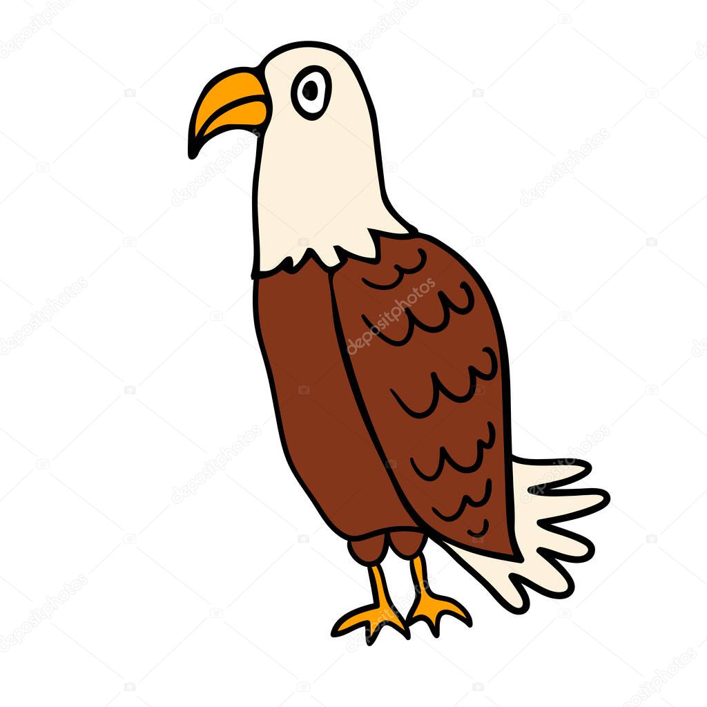Cartoon doodle linear eagle isolated on white background. Vector illustration.