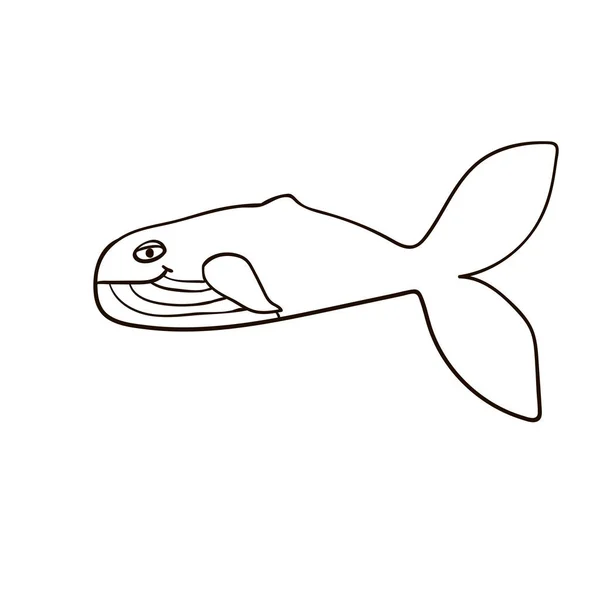 Cartoon Doodle Balena Lineare Isolato Sfondo Bianco Illustrazione Vettoriale — Vettoriale Stock