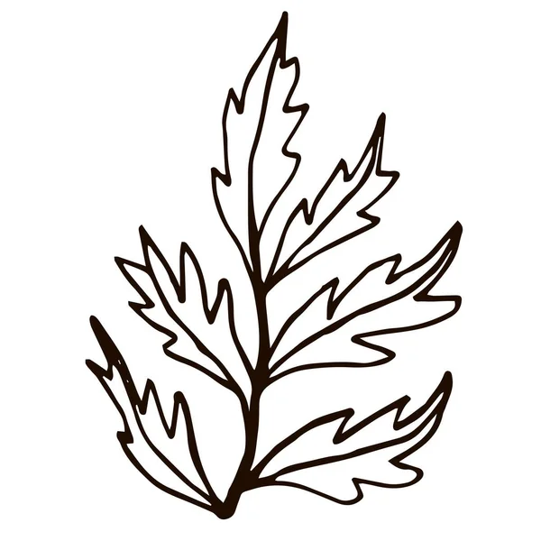 Mão Desenhado Arbusto Doodle Isolado Fundo Branco Para Colorir Livro — Vetor de Stock