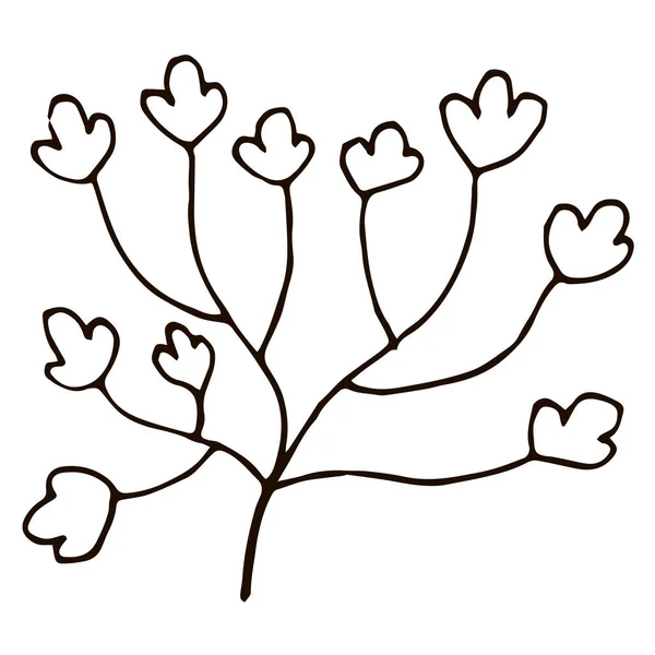Mão Desenhado Arbusto Doodle Isolado Fundo Branco Para Colorir Livro —  Vetores de Stock