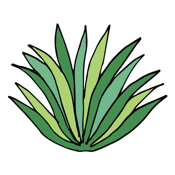 Arbusto Garabato Dibujado Mano Aislado Sobre Fondo Blanco Para Colorear — Archivo Imágenes Vectoriales