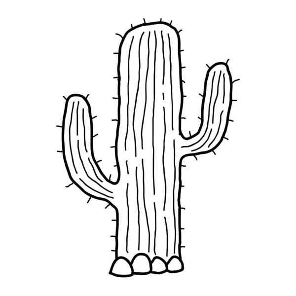 Cute Cartoon Doodle Linear Cactus Desert Isolated White Background Vector — Stock Vector