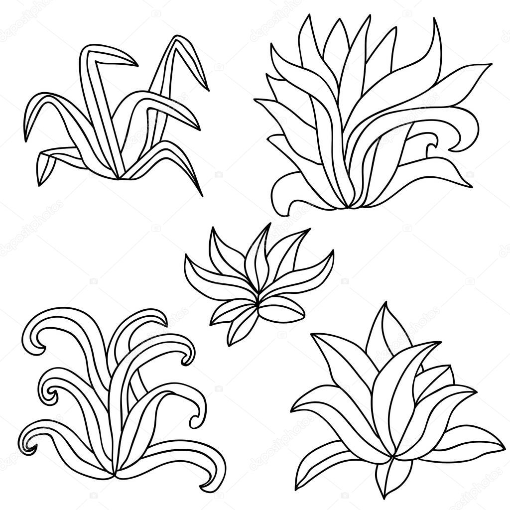 Hand drawn bush set isolated on white background for coloring book. Vector illustration.