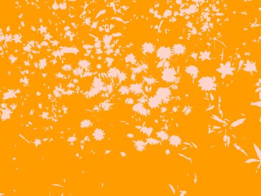 Sarı, pembe çiçek kartı ve grunge çiçekleri. Vektör dokusu, resimleme.