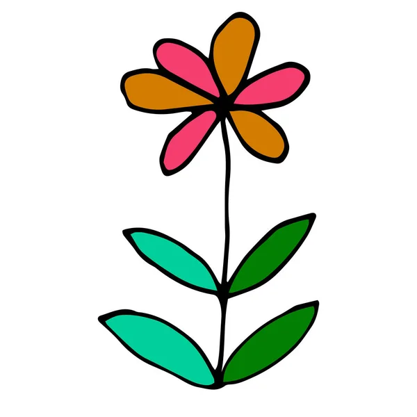 Flor Colorida Isolada Sobre Fundo Branco Ilustração Vetorial — Vetor de Stock